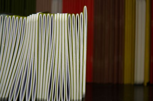 small_2026_02_06_Pha 2_DSC00572.jpg