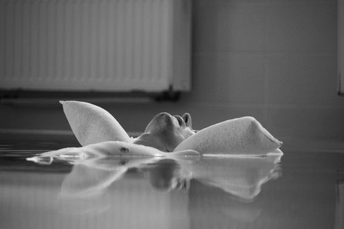 small_84_2026_01_30_Pha 17_DSC09366_cb.jpeg