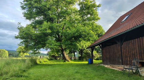 small_IMG_20260615_191636233_HDR.jpg_compressed.JPEG