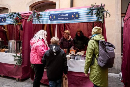 small_lemni trhy25-1.jpeg